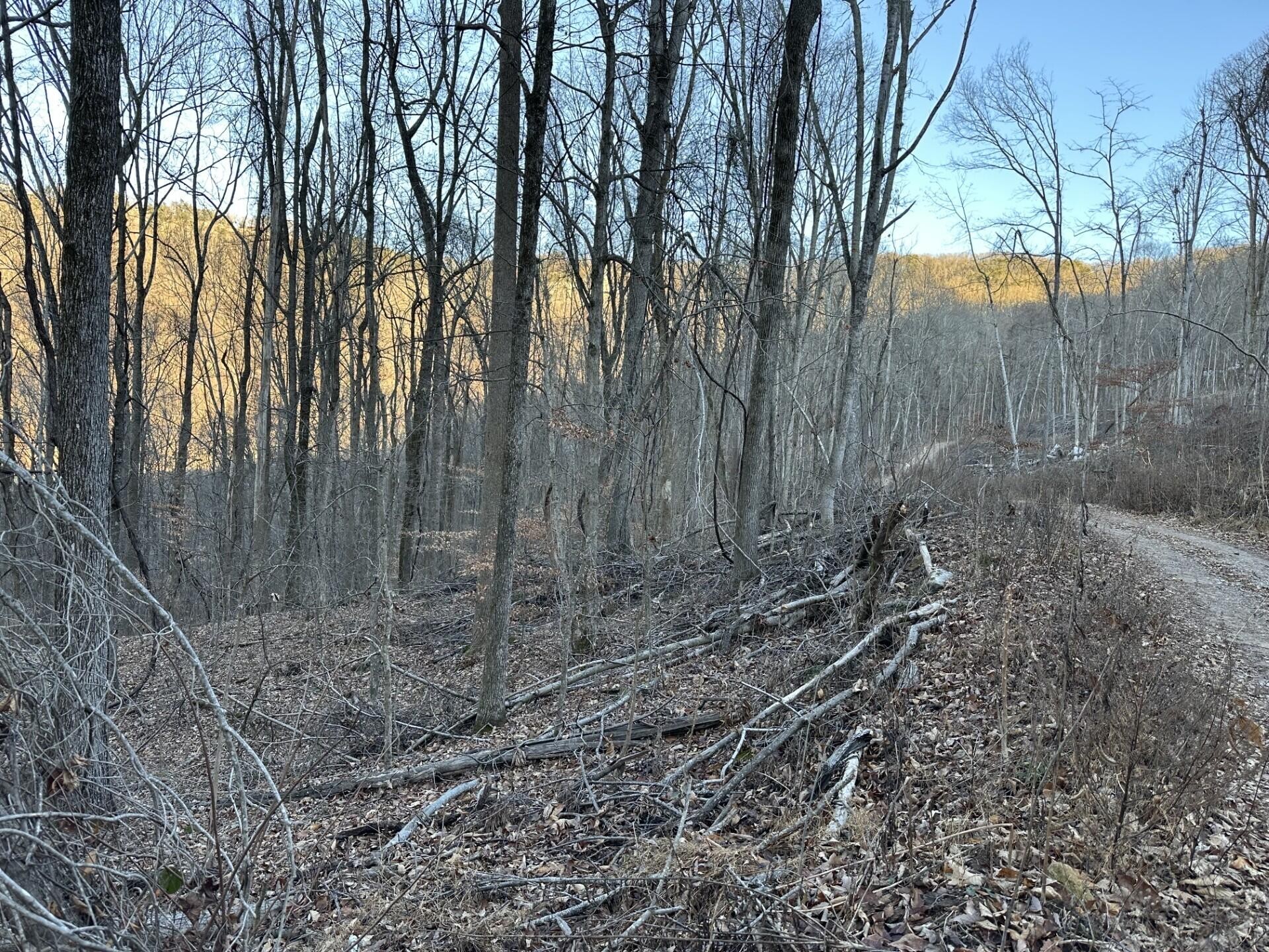 3233 Stone Ridge Road Pikeville TN 37367