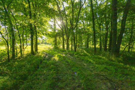 6330 Cox Road Arrington TN 37014