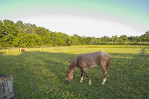 6330 Cox Road Arrington TN 37014