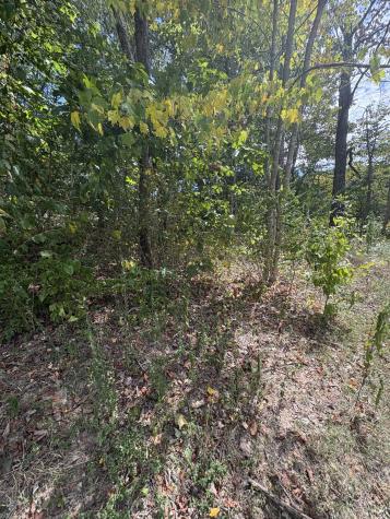 7305 Williamsport Court Fairview TN 37062