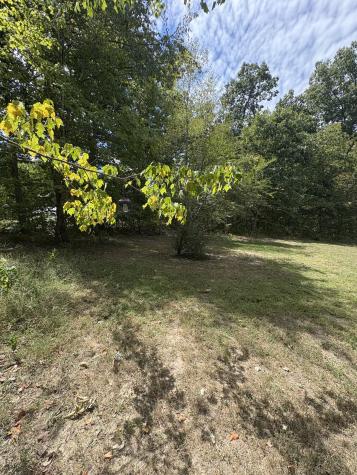 7305 Williamsport Court Fairview TN 37062