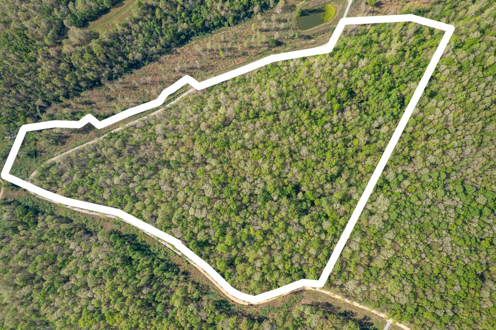 0 Chief Creek Road Lawrenceburg TN 38464