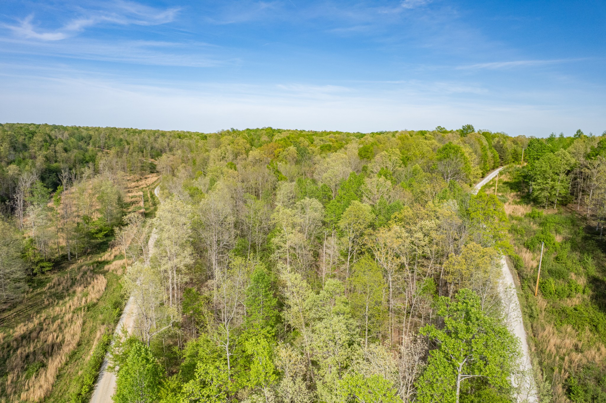 0 Chief Creek Road Lawrenceburg TN 38464