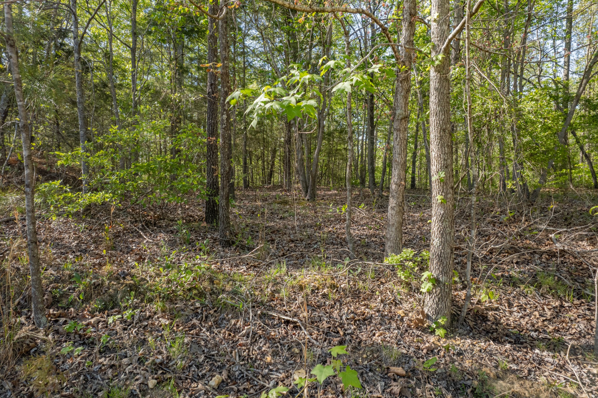 0 Chief Creek Road Lawrenceburg TN 38464