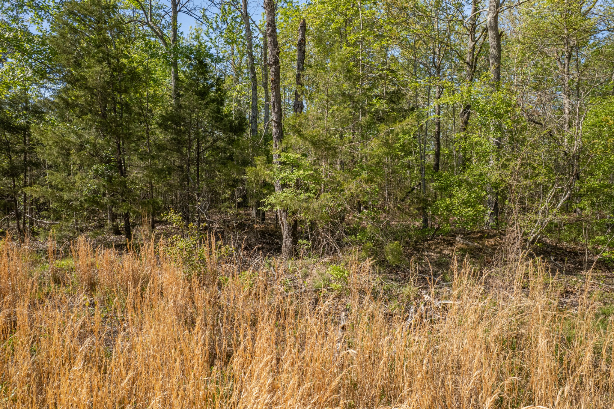 0 Chief Creek Road Lawrenceburg TN 38464