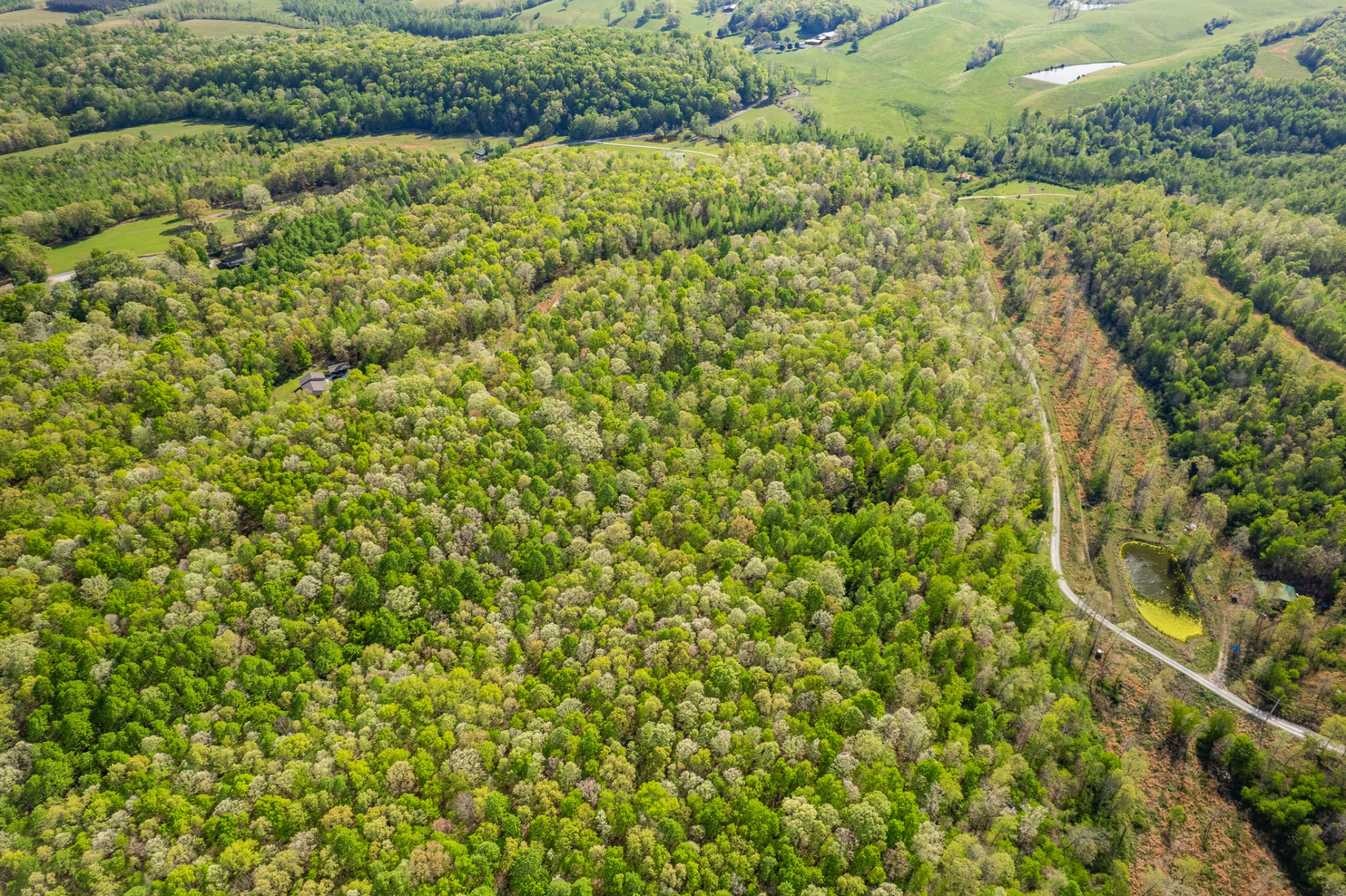 0 Chief Creek Road Lawrenceburg TN 38464
