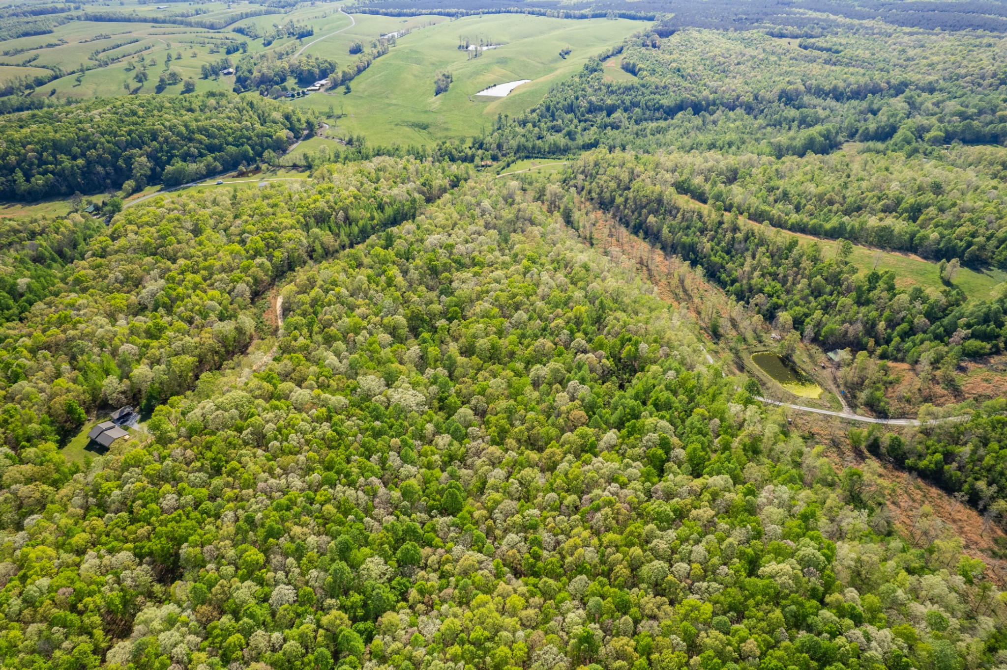 0 Chief Creek Road Lawrenceburg TN 38464