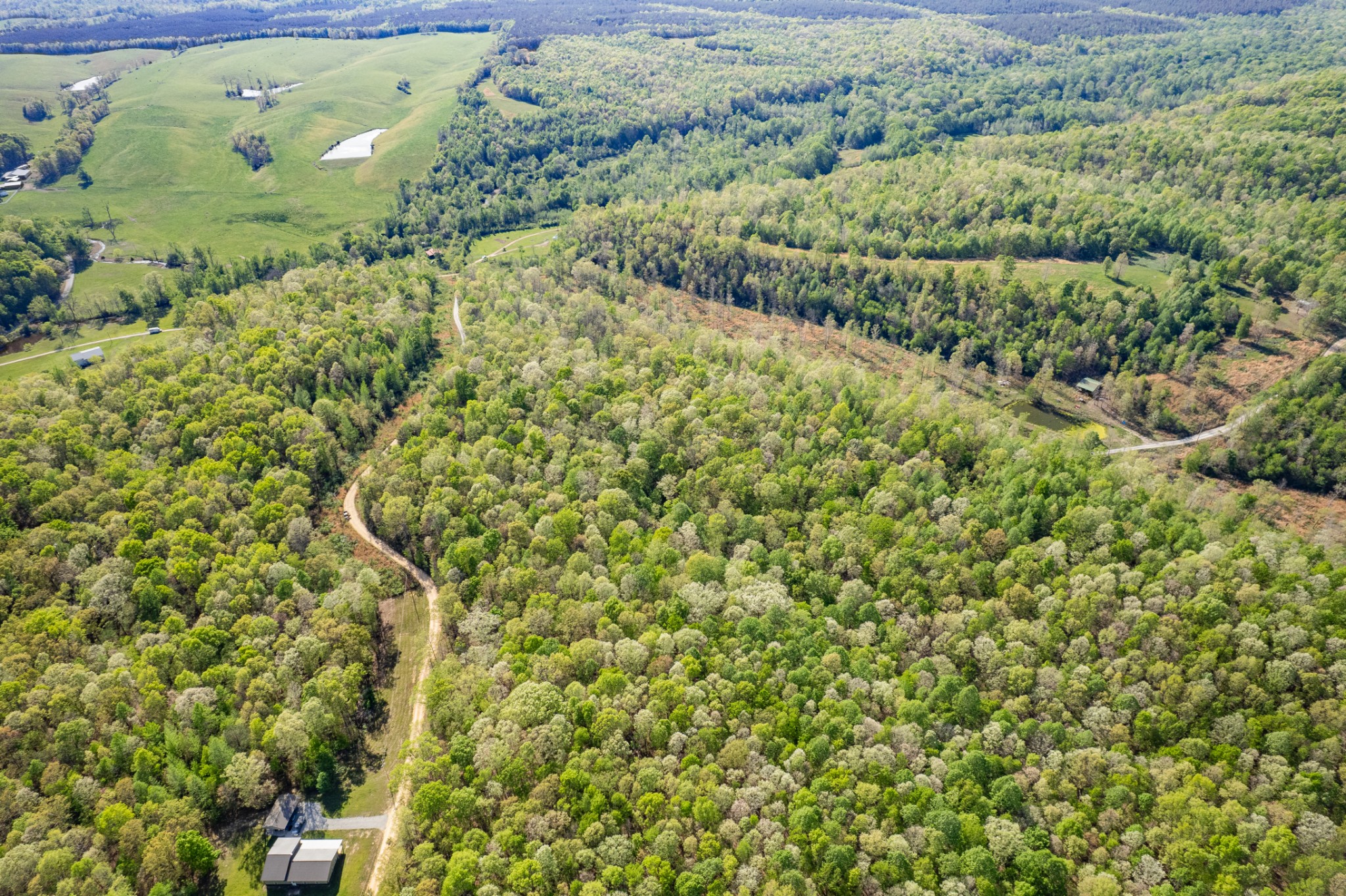 0 Chief Creek Road Lawrenceburg TN 38464