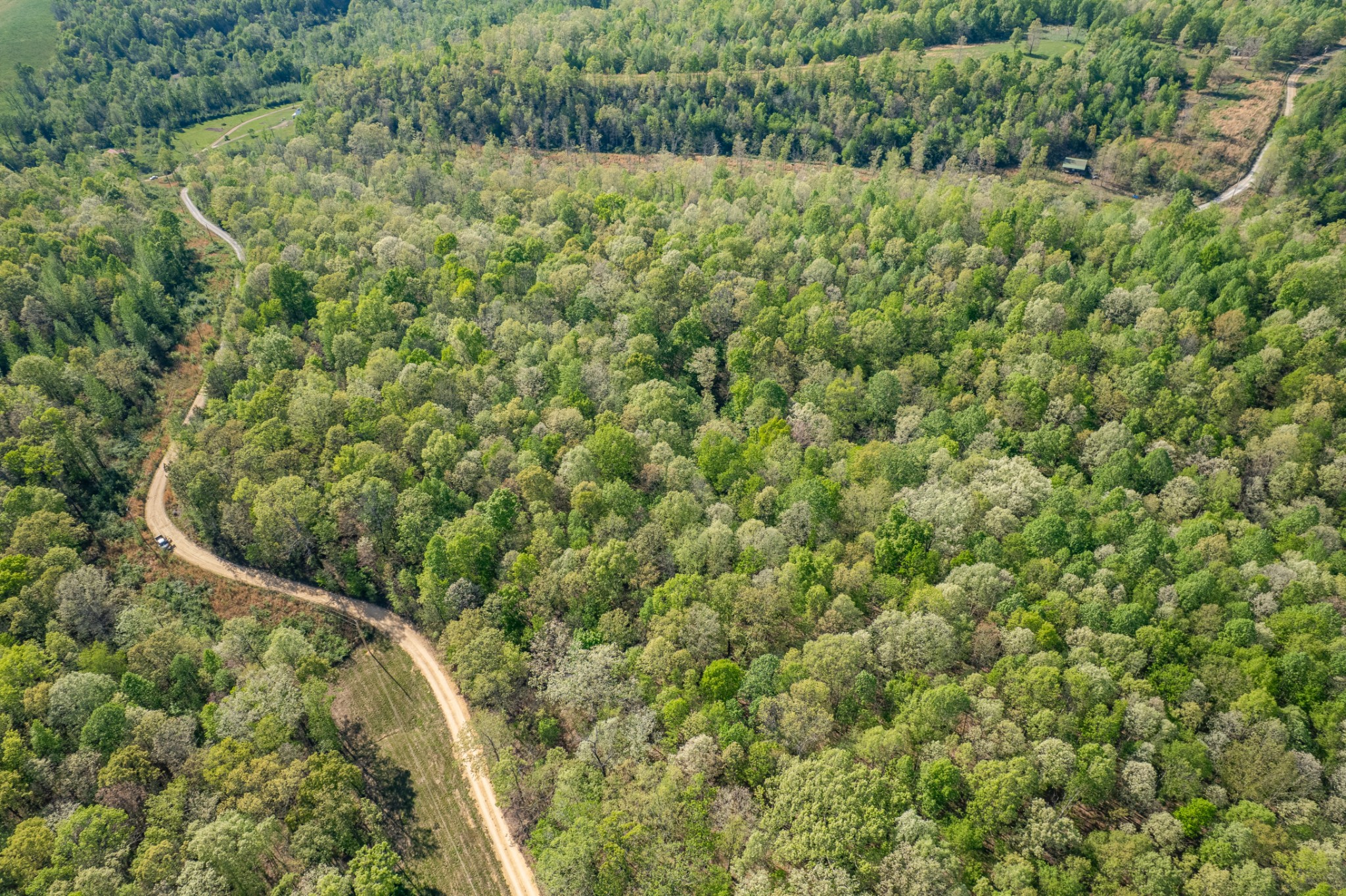 0 Chief Creek Road Lawrenceburg TN 38464