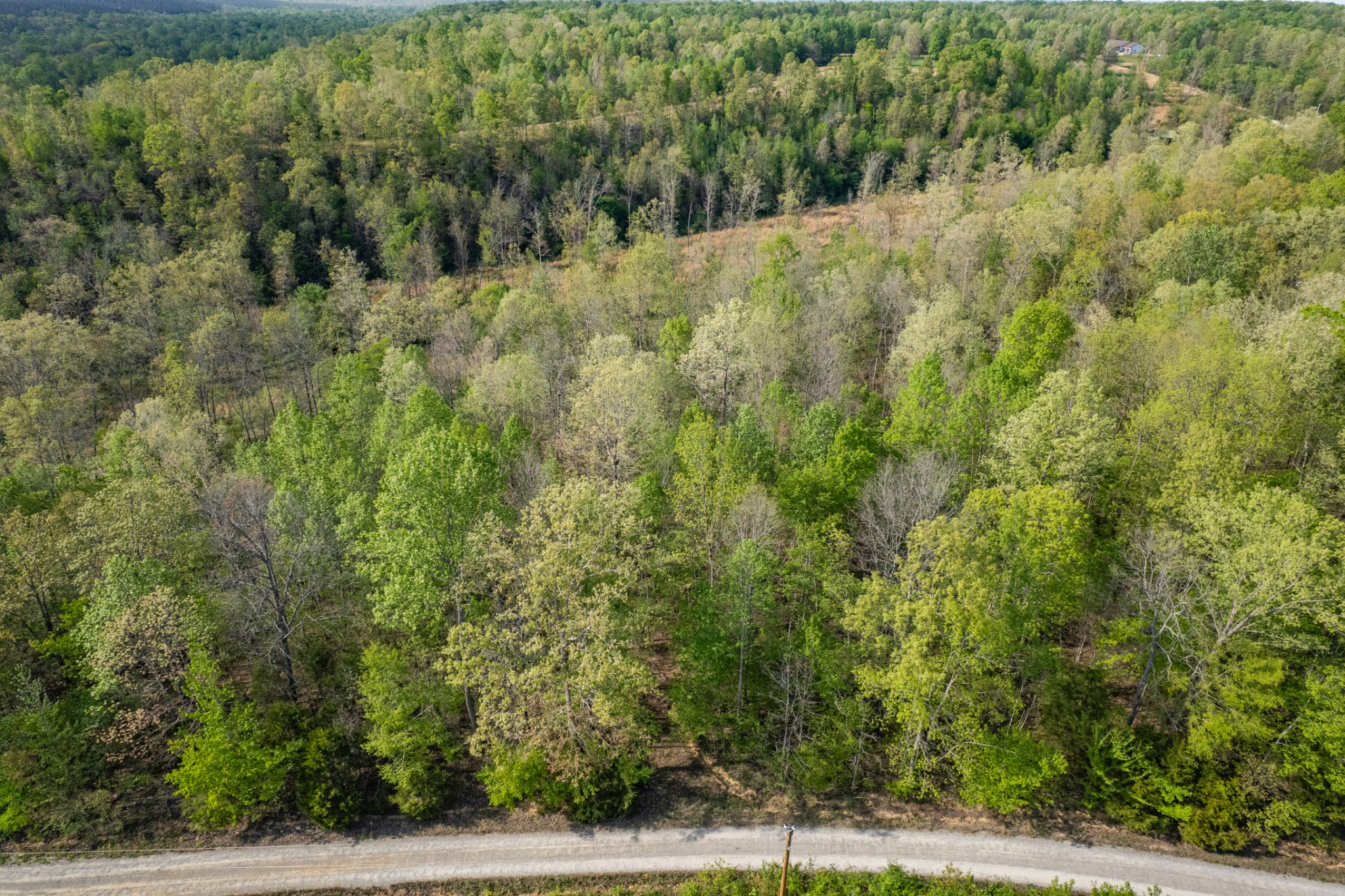 0 Chief Creek Road Lawrenceburg TN 38464