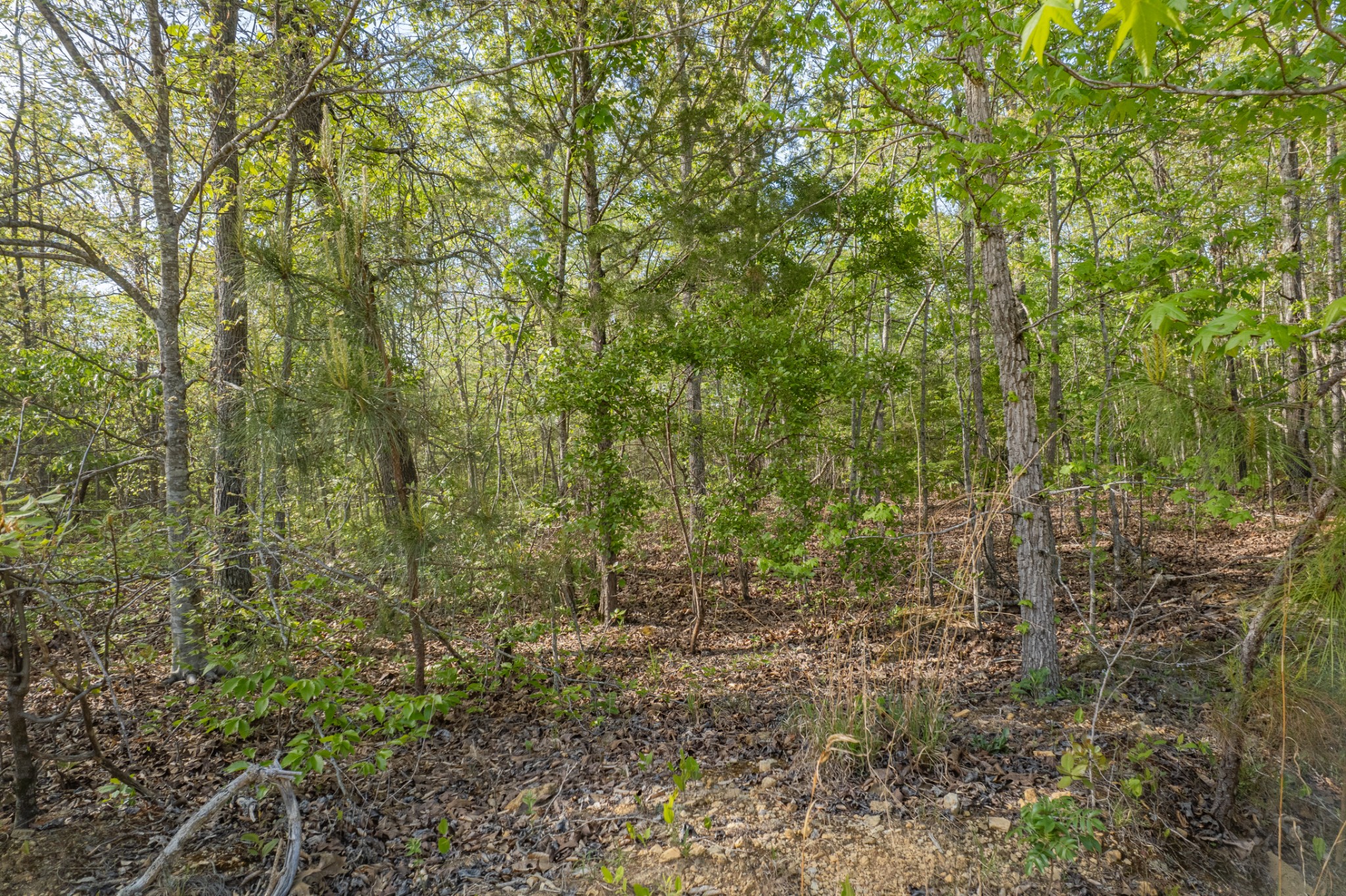 0 Chief Creek Road Lawrenceburg TN 38464