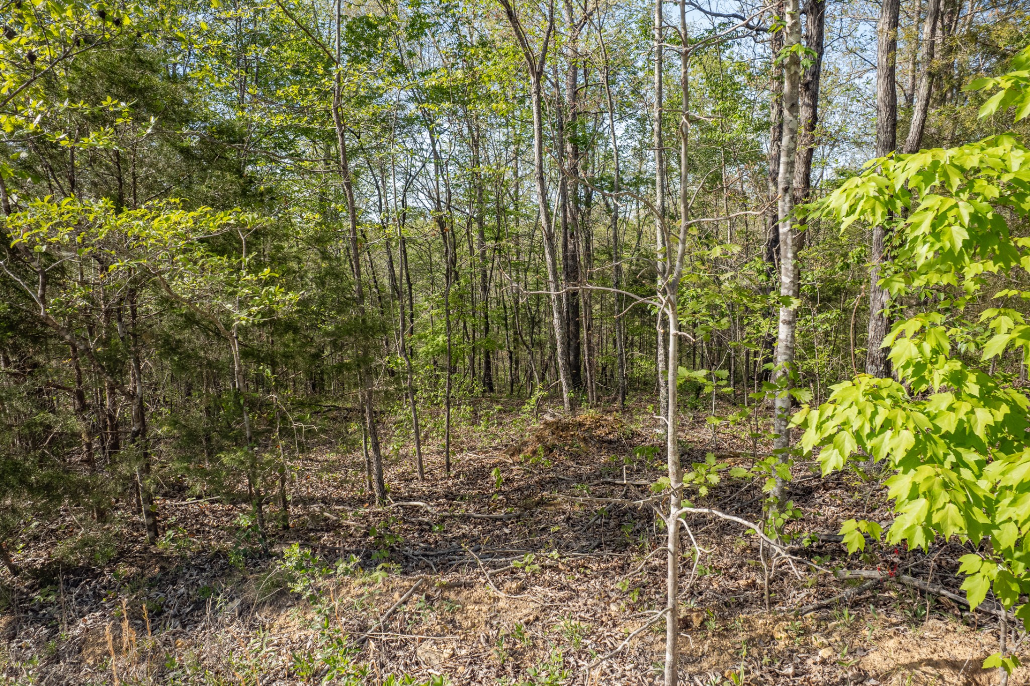 0 Chief Creek Road Lawrenceburg TN 38464