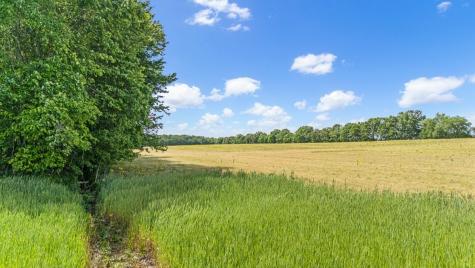 3249 Fredonia Road Manchester TN 37355