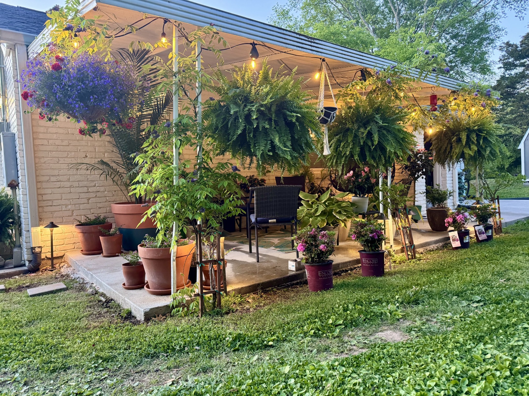 307 Finley Drive Nashville TN 37217