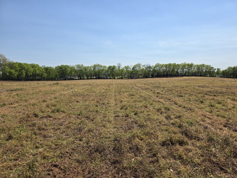 1 Old Zion Road Columbia TN 38401
