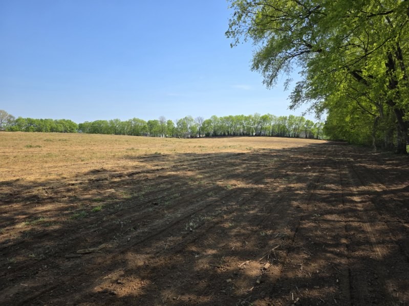 1 Old Zion Road Columbia TN 38401