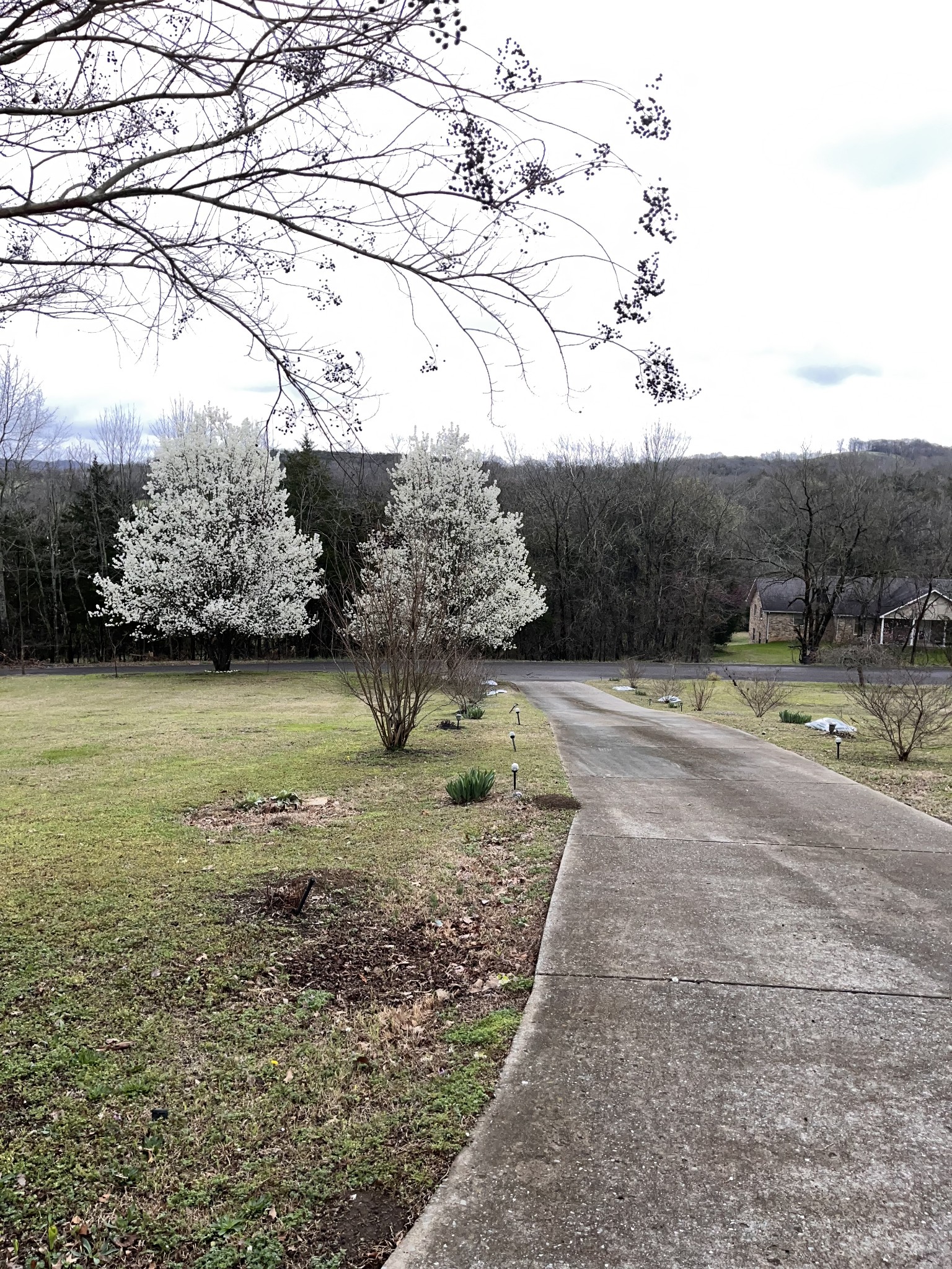 17 Blankenship Hollow Road Fayetteville TN 37334