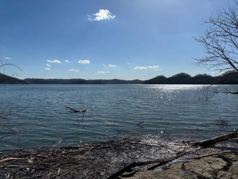 0 Back Ranch Drive Silver Point TN 38582
