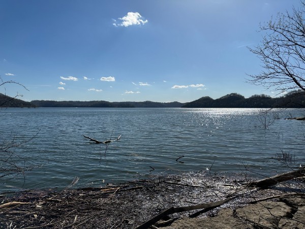 0 Back Ranch Drive Silver Point TN 38582