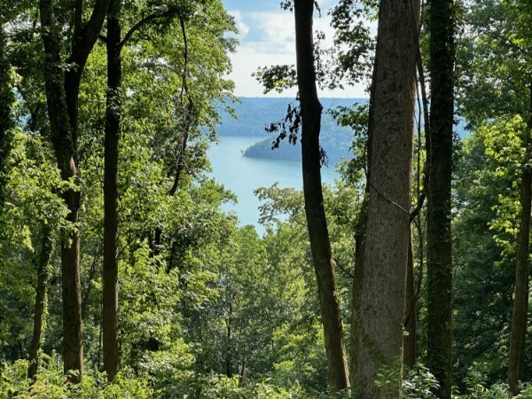 0 Back Ranch Drive Silver Point TN 38582