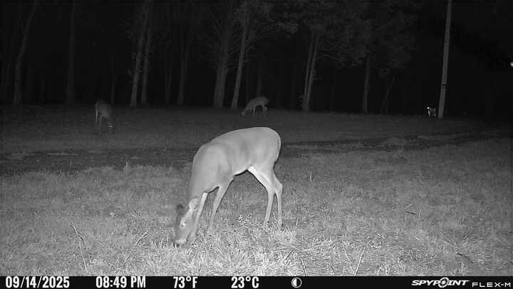 0 Atkinson Road Lebanon TN 37090