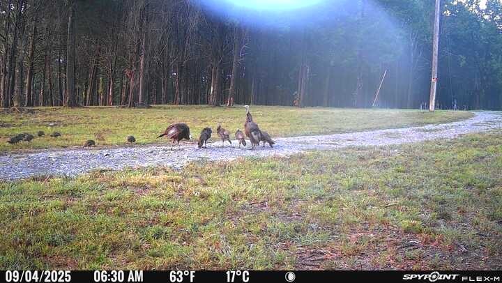 0 Atkinson Road Lebanon TN 37090
