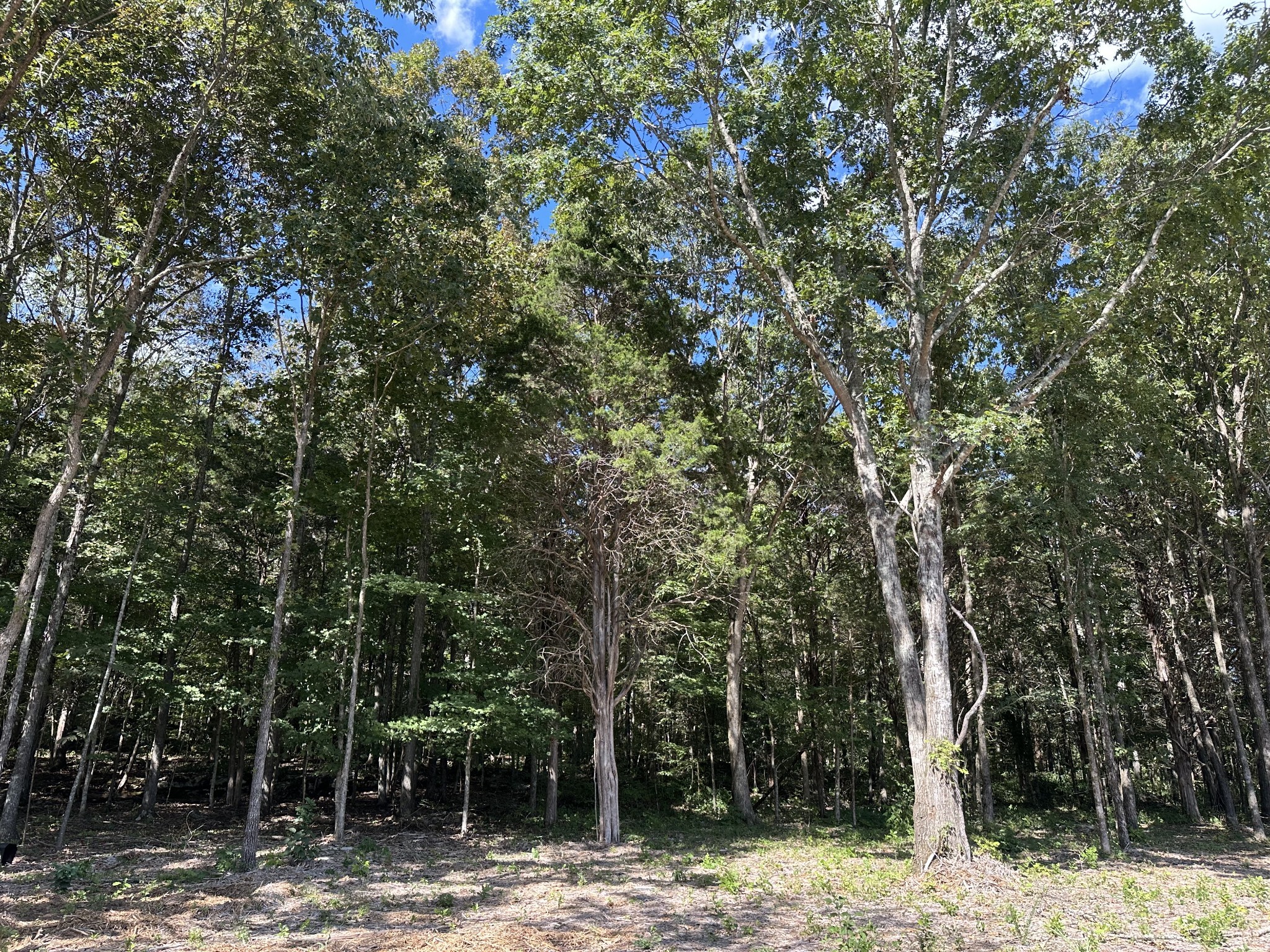 0 Atkinson Road Lebanon TN 37090