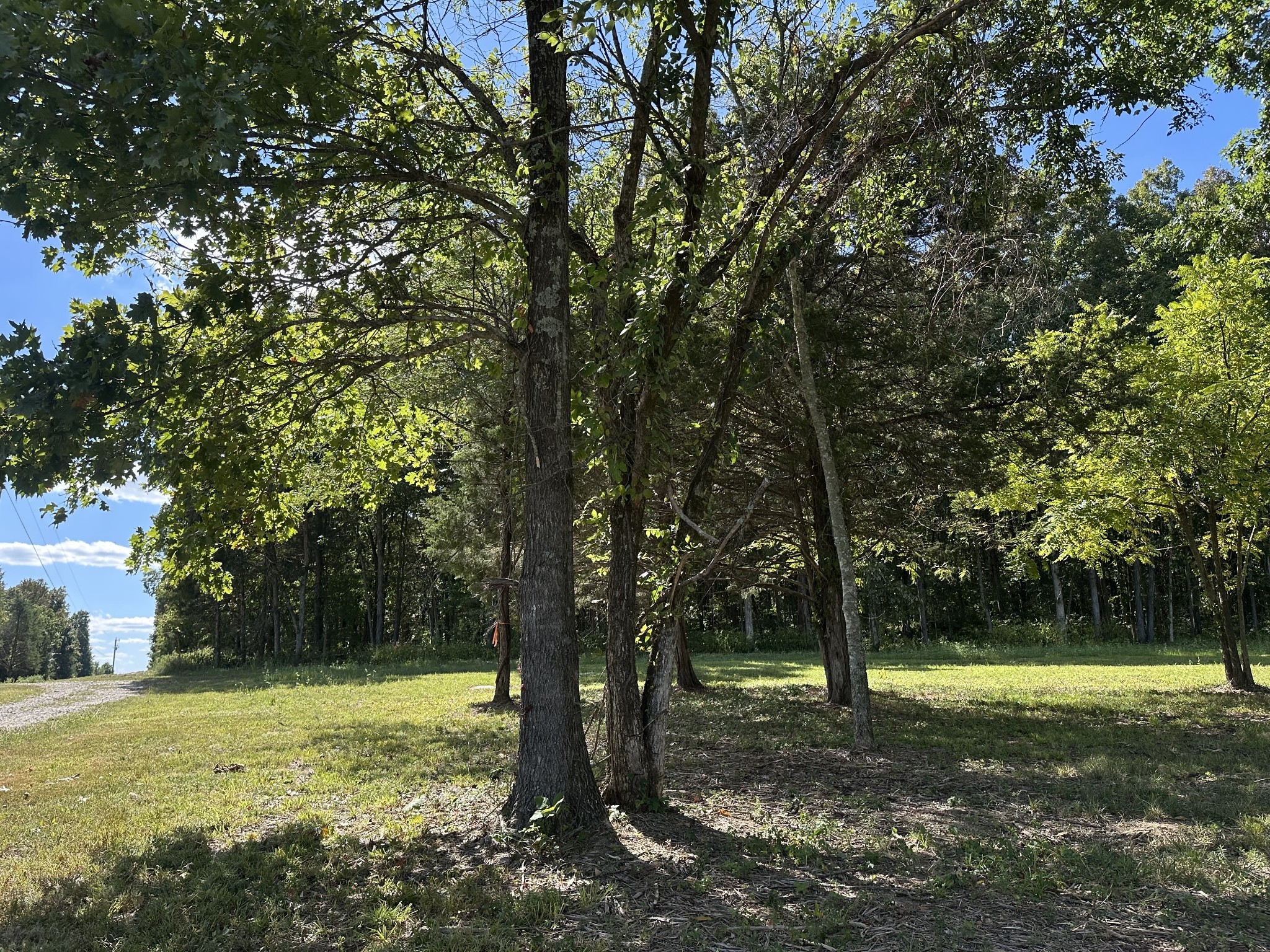 0 Atkinson Road Lebanon TN 37090