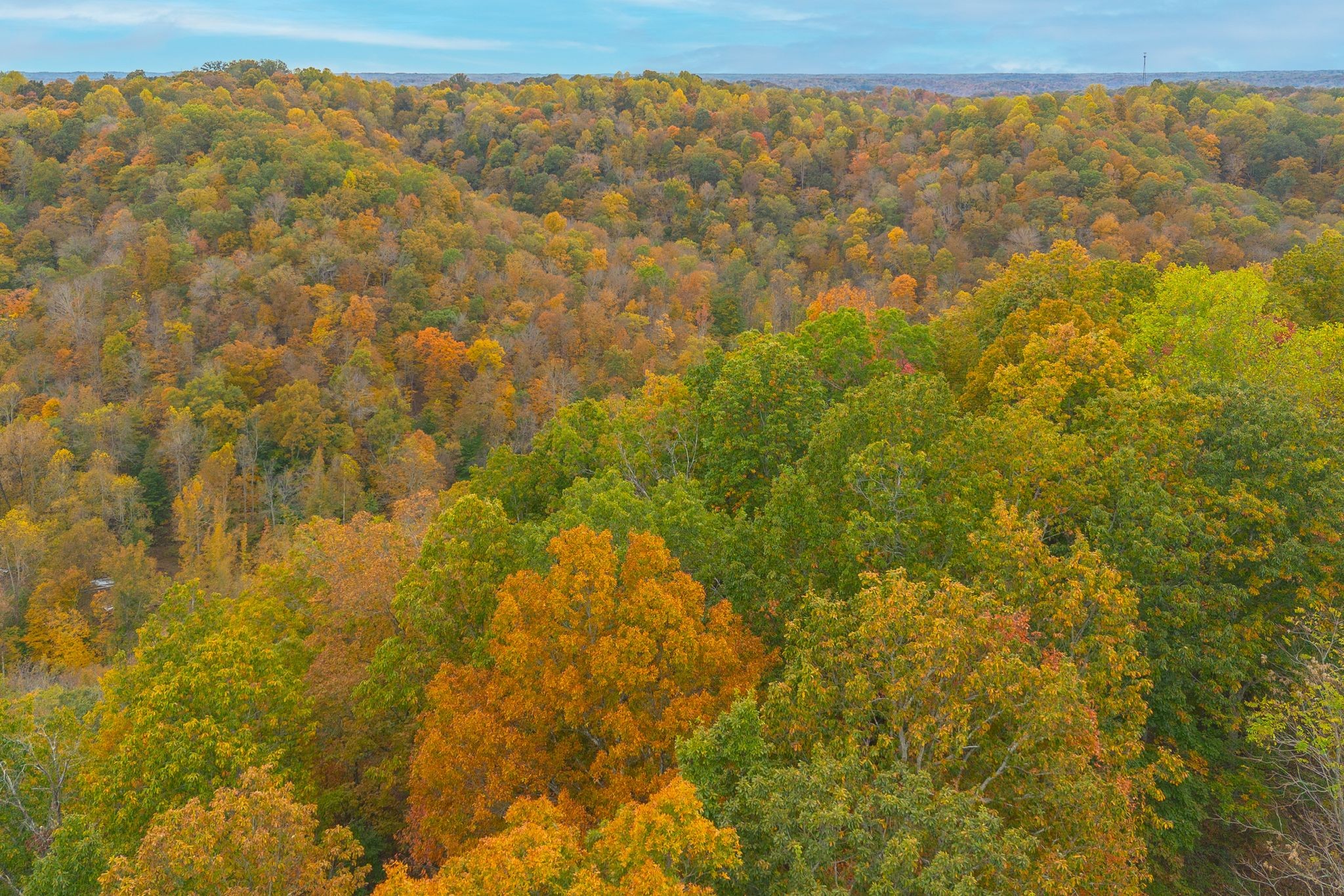 0 Pine Valley Ashland City TN 37015