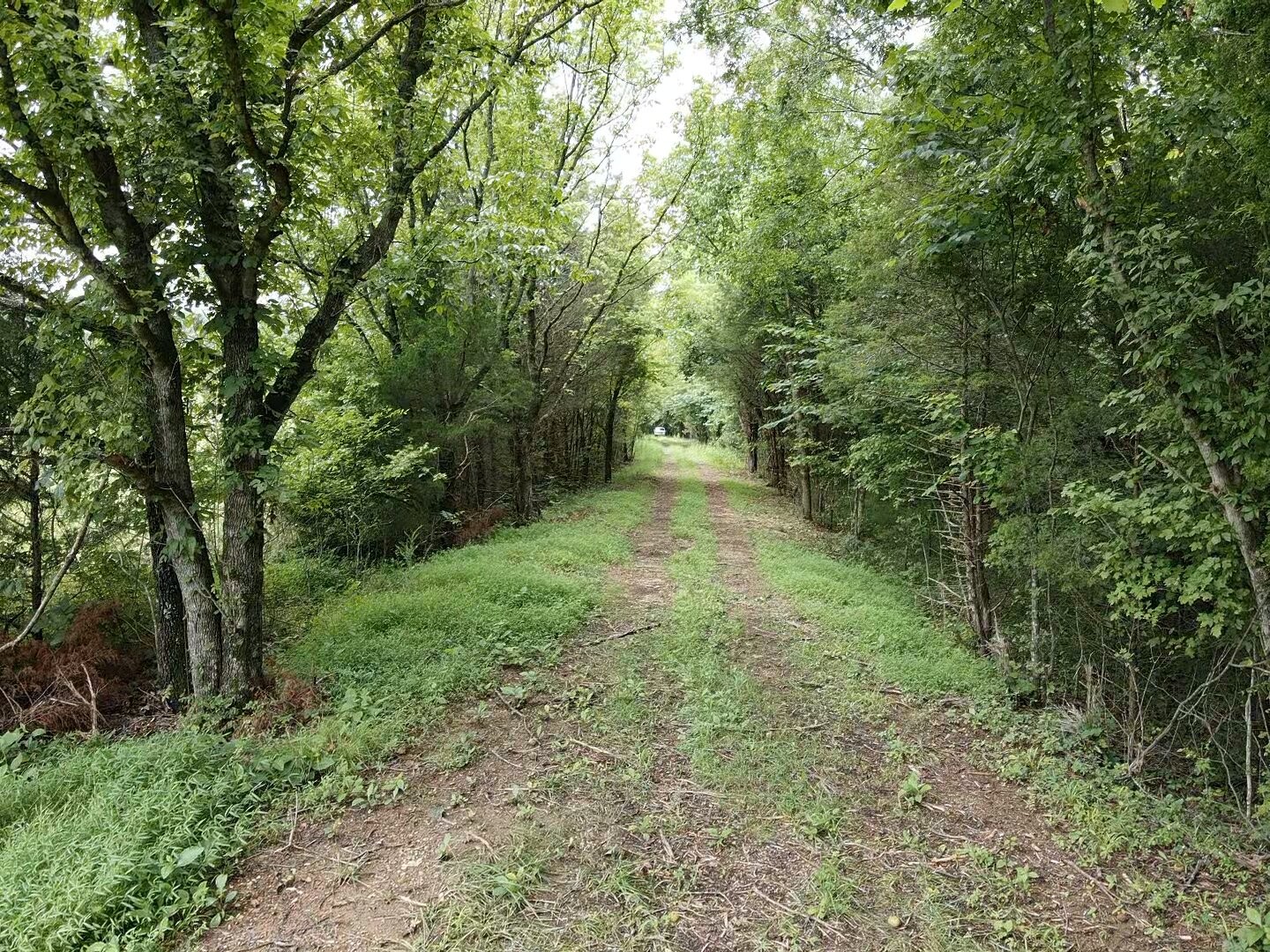 0 Shapiro Trail Columbia TN 38401