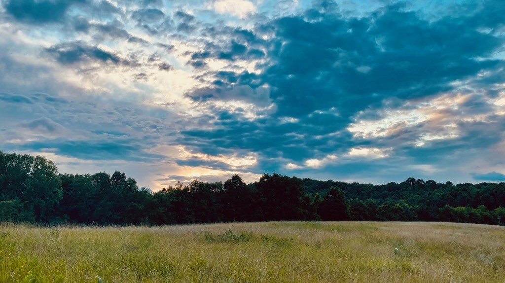 0 Shapiro Trail Columbia TN 38401