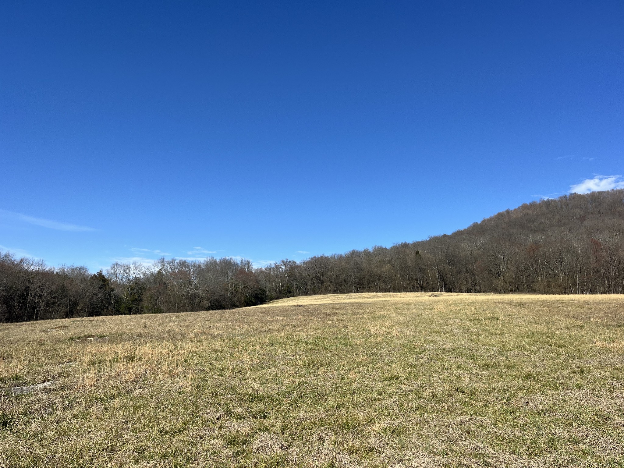 0 Northcutt Road Milton TN 37118