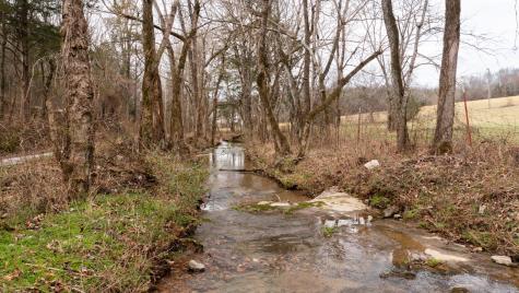 0 Northcutt Road Milton TN 37118