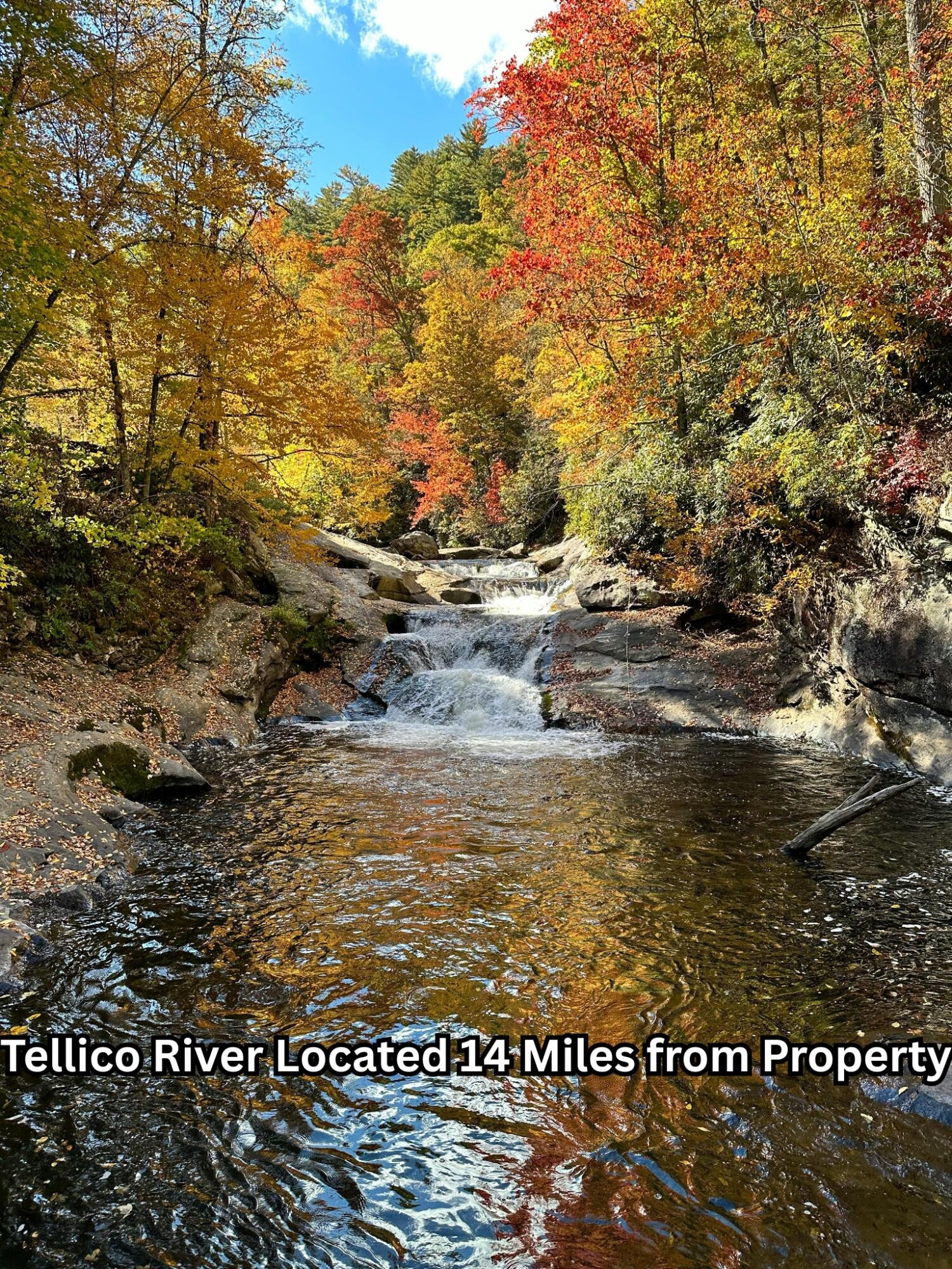 669 Pond Ridge Road Tellico Plains TN 37385