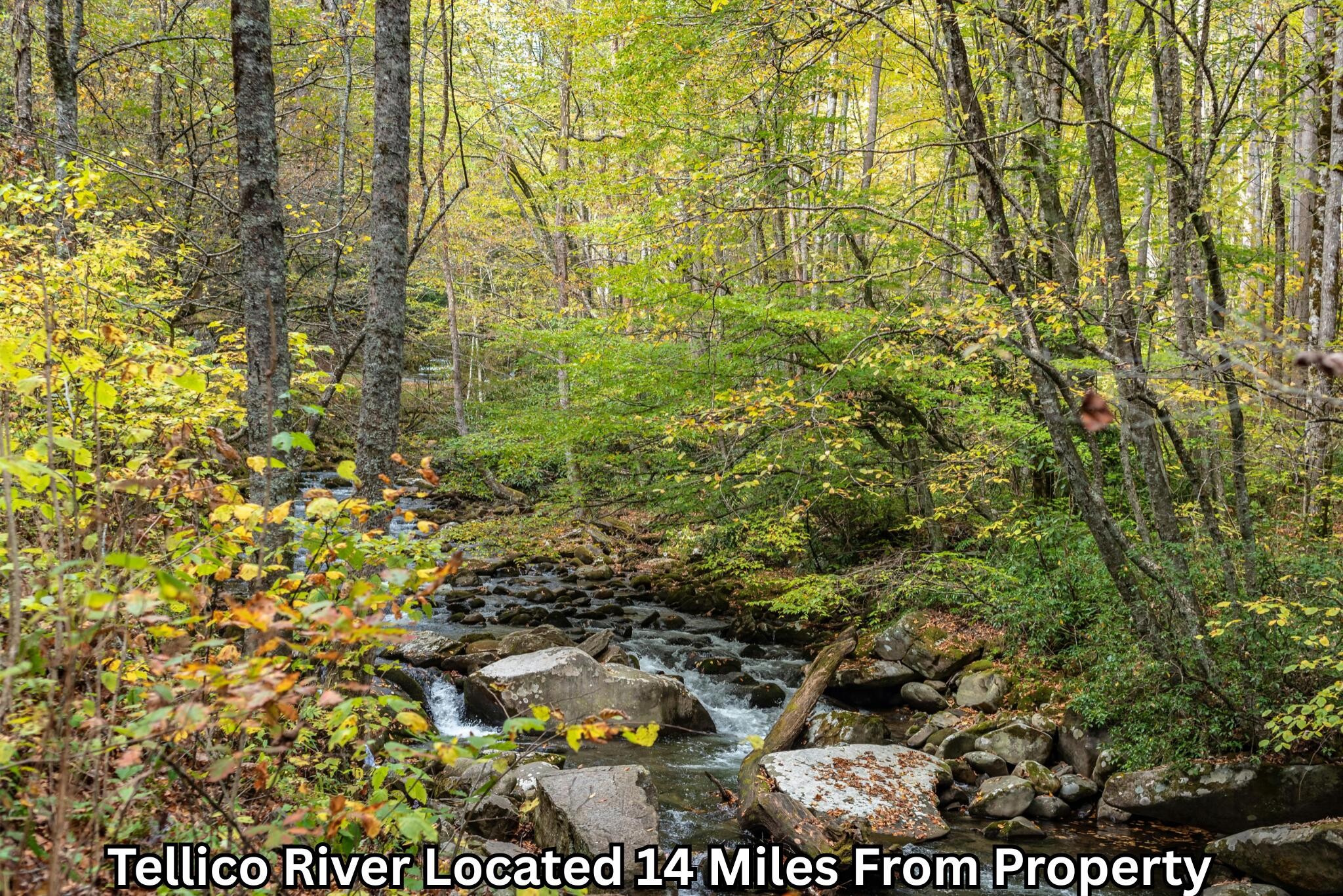 669 Pond Ridge Road Tellico Plains TN 37385