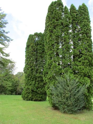 55 19th Street Tracy City TN 37387