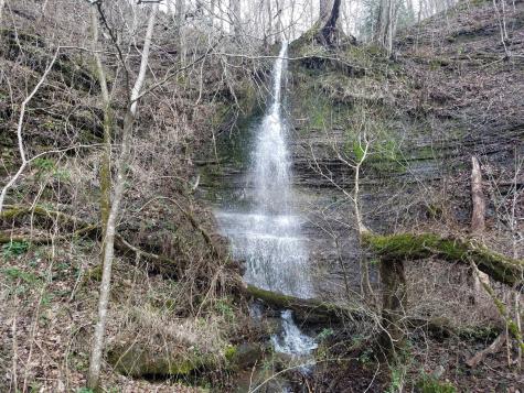 323 Spring Creek Road Westpoint TN 38486