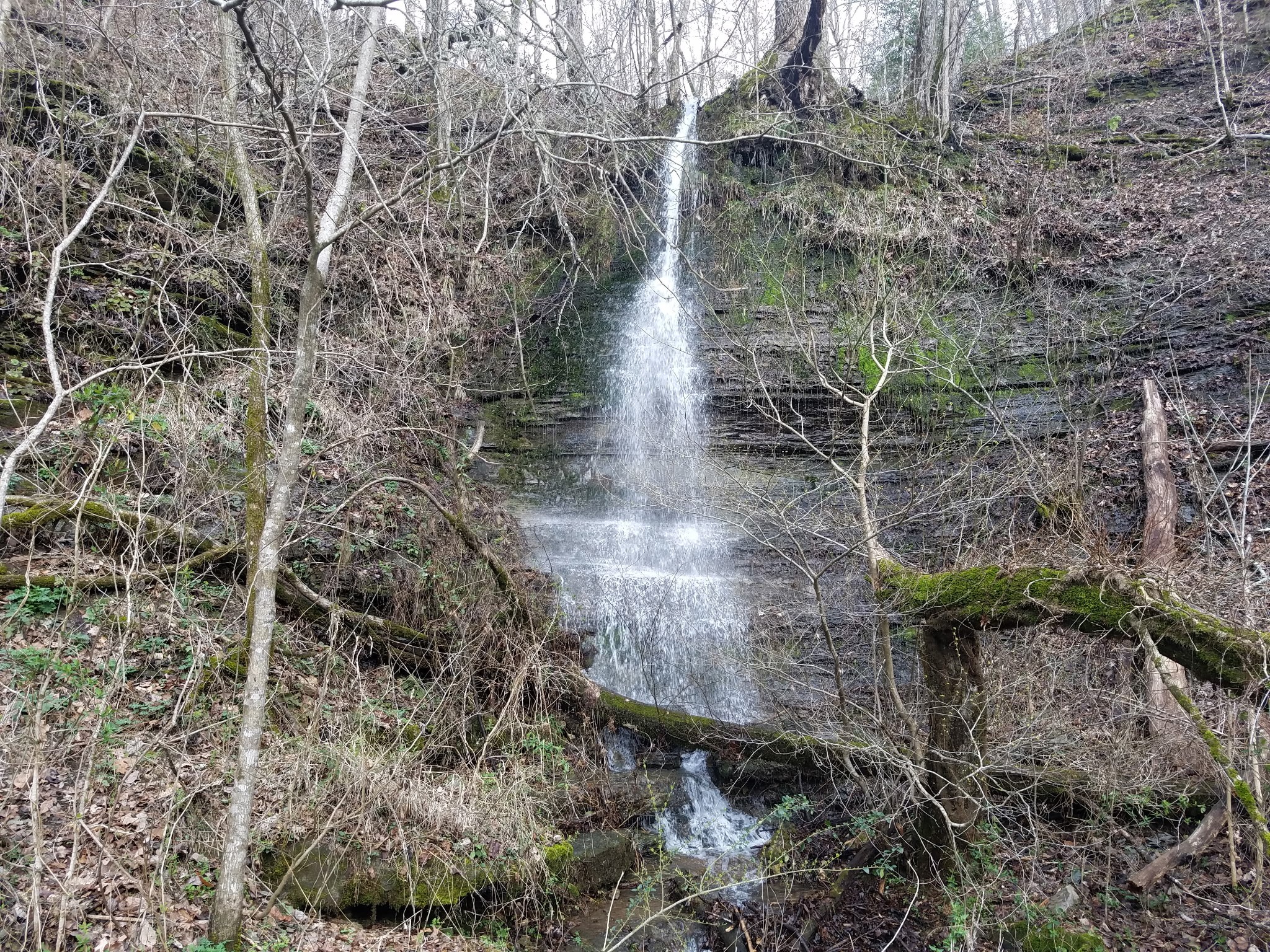 323 Spring Creek Road Westpoint TN 38486