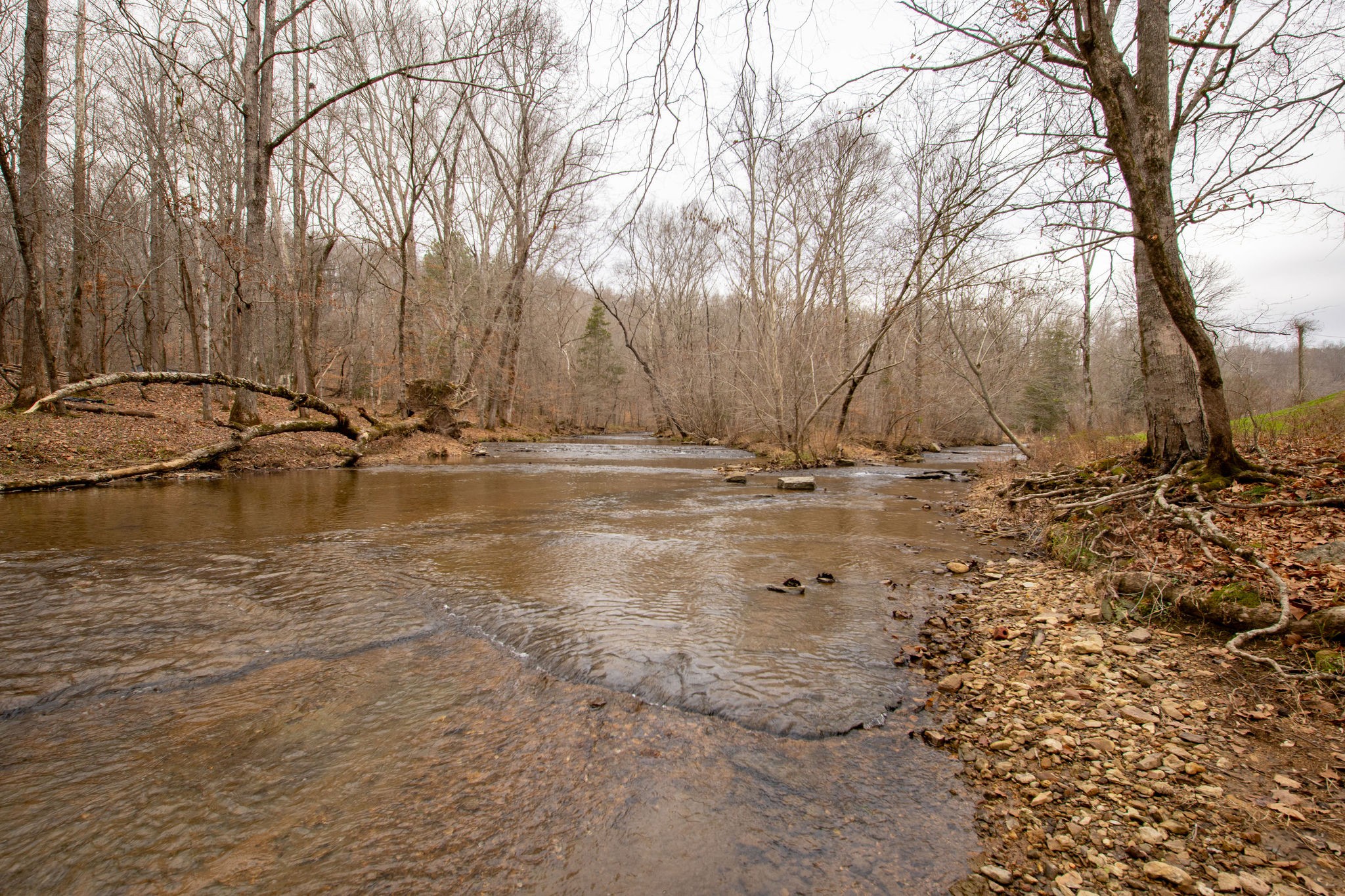 323 Spring Creek Road Westpoint TN 38486