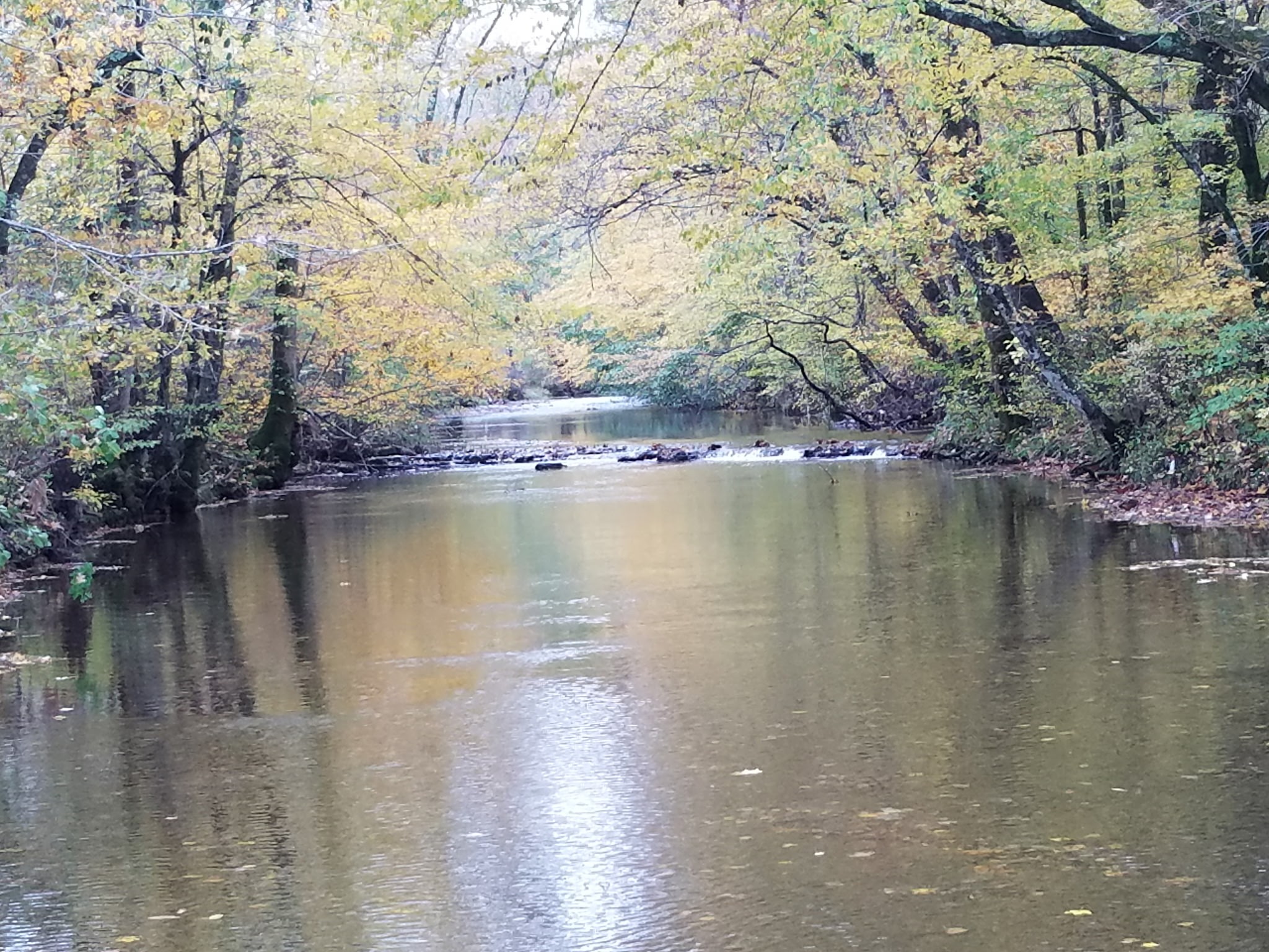 323 Spring Creek Road Westpoint TN 38486