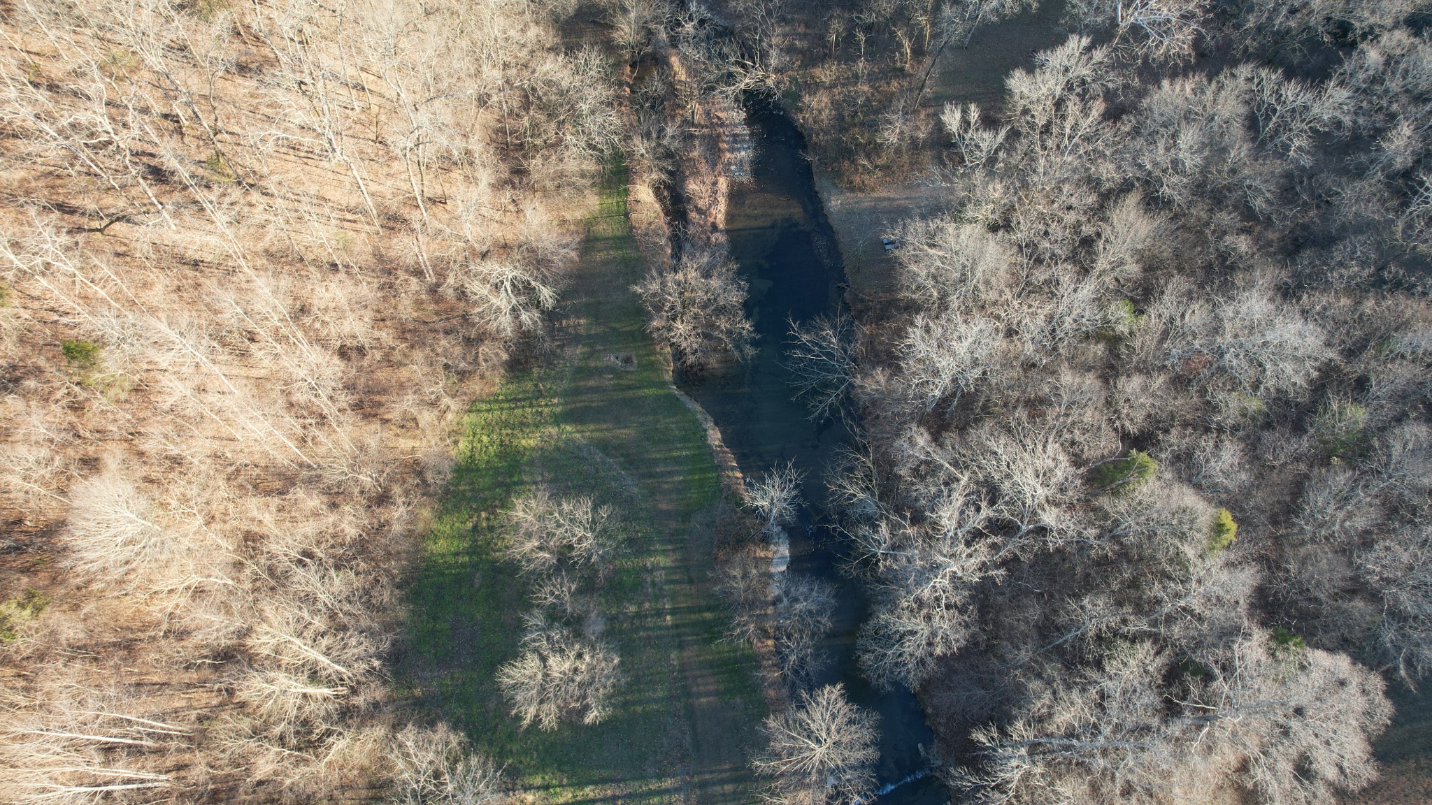 323 Spring Creek Road Westpoint TN 38486
