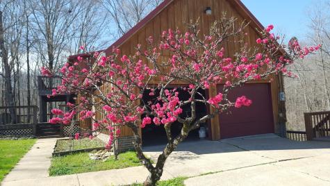 323 Spring Creek Road Westpoint TN 38486