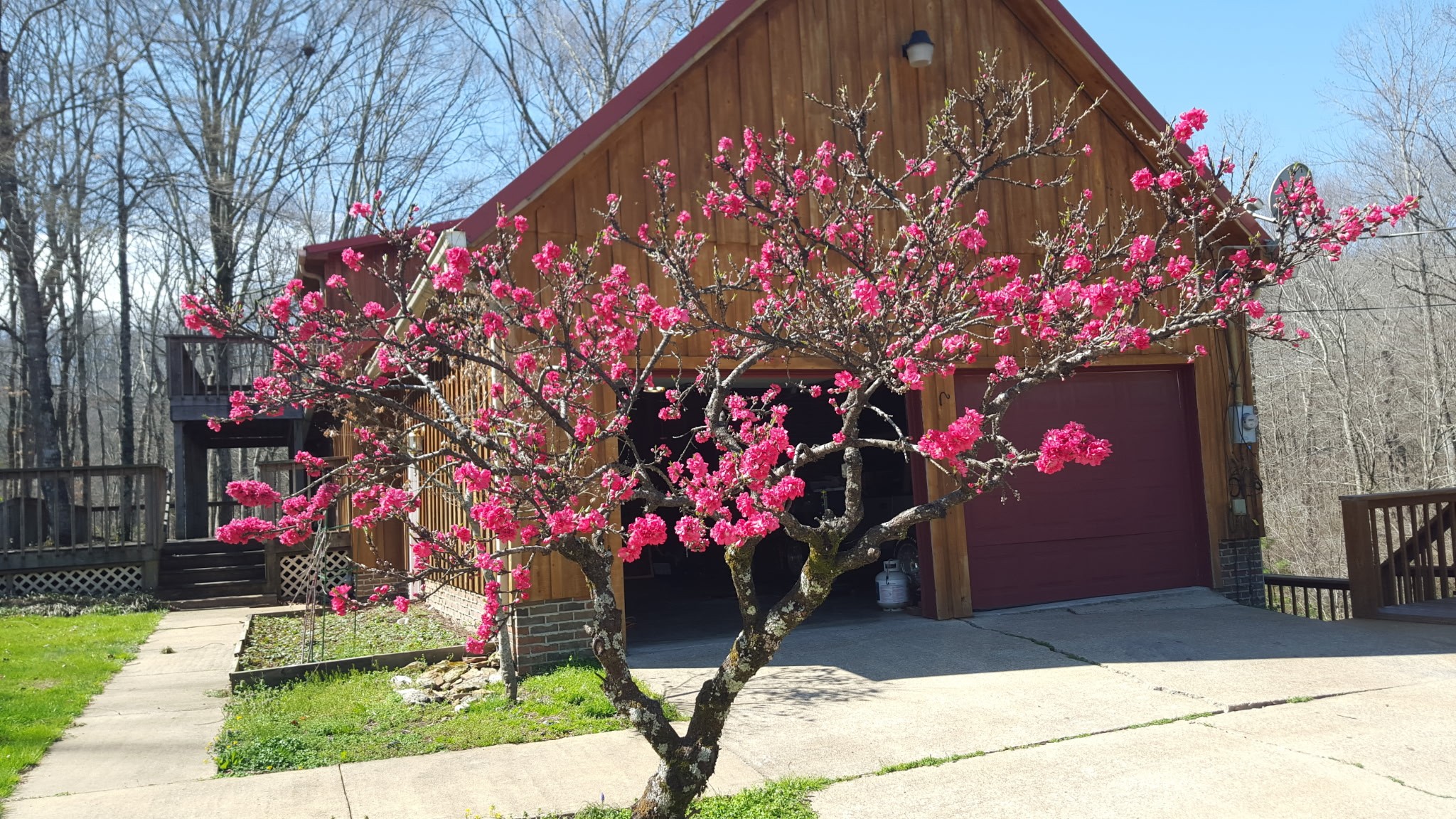 323 Spring Creek Road Westpoint TN 38486