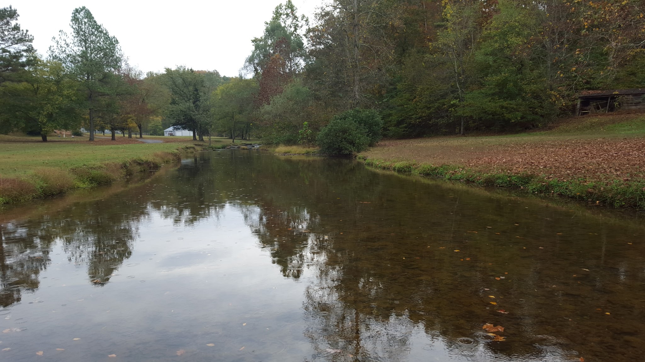323 Spring Creek Road Westpoint TN 38486