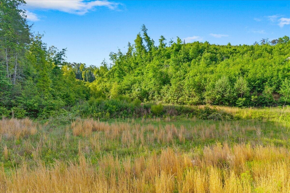 5673 Highway 360 Tellico Plains TN 37385