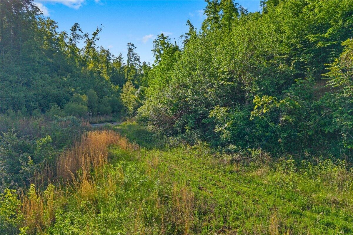 5673 Highway 360 Tellico Plains TN 37385
