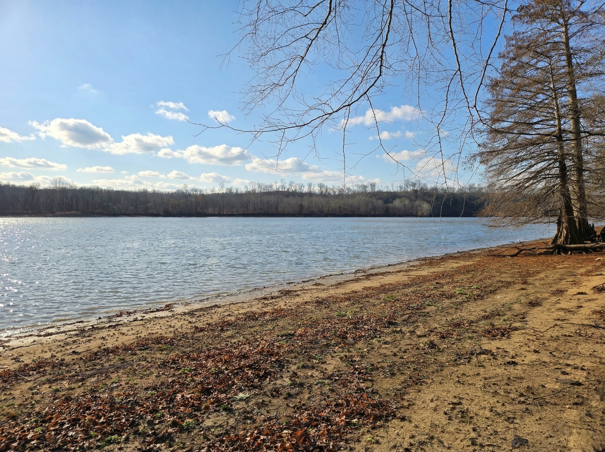 403 Hardin Bottom Road Clifton TN 38425