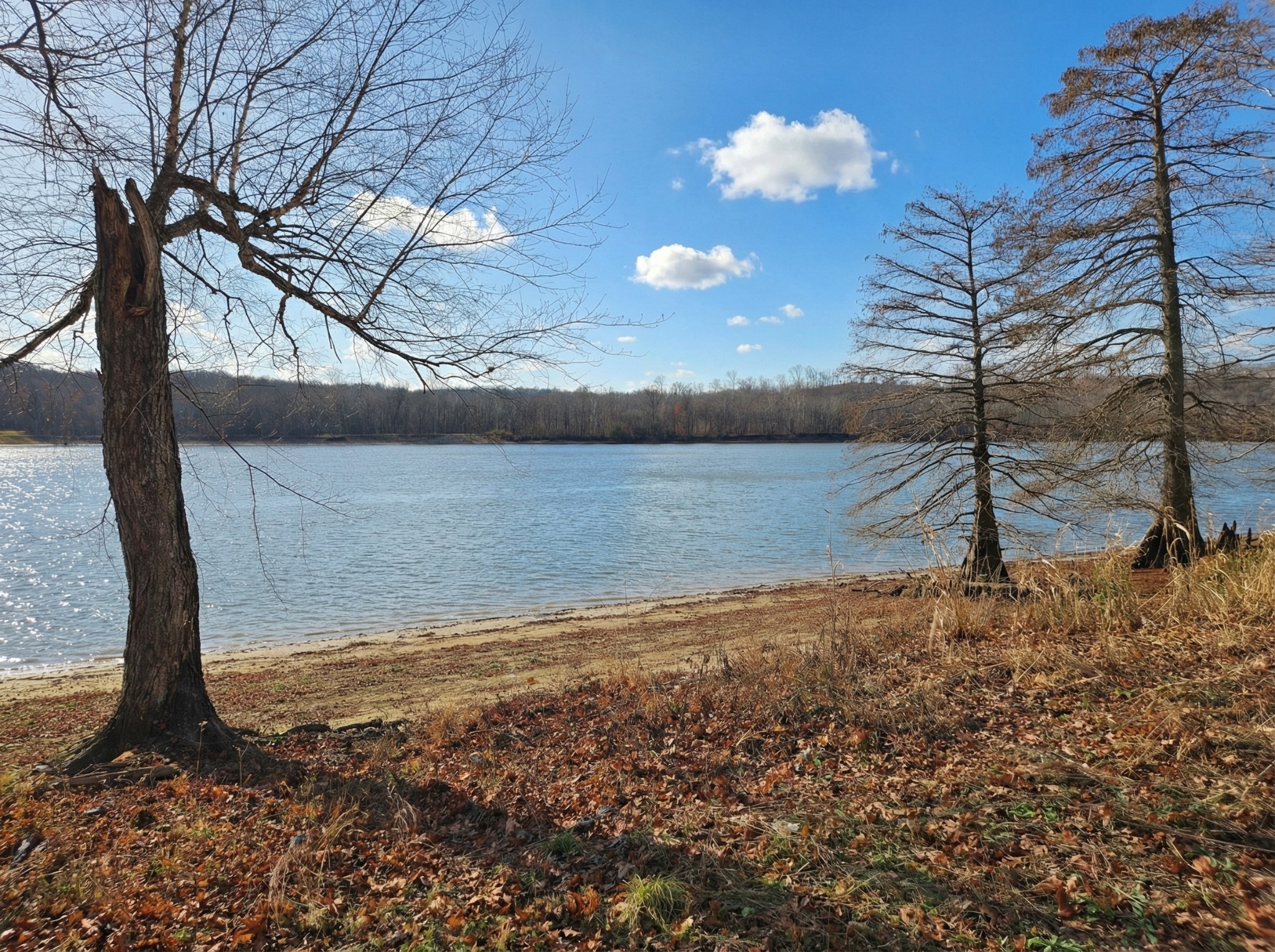 403 Hardin Bottom Road Clifton TN 38425