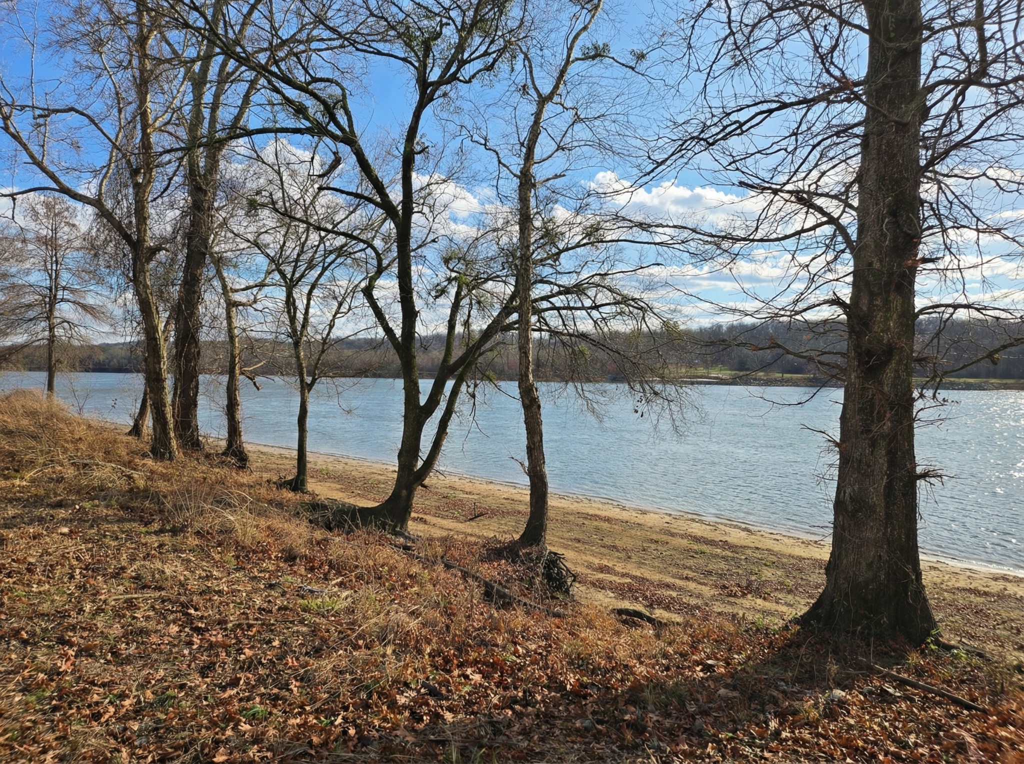 403 Hardin Bottom Road Clifton TN 38425