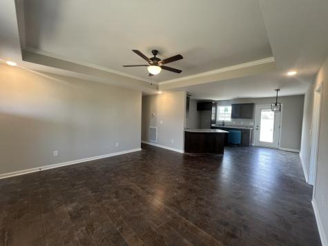 131 N Harris Lane Portland TN 37148